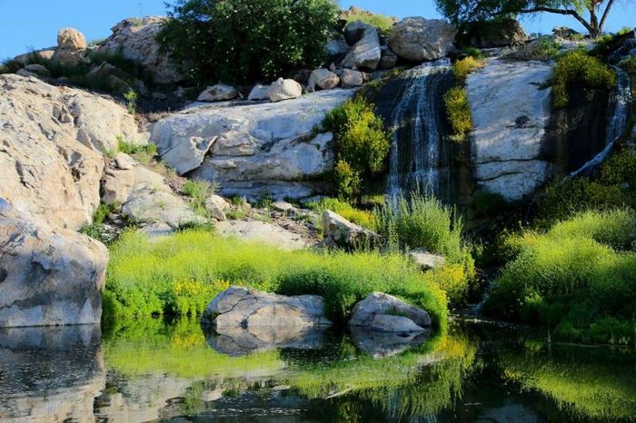 The Lakes at Hemet West - Unit 557