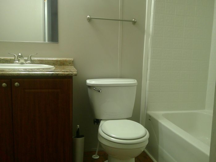Shady Oaks TN - Unit 199 - Bathroom