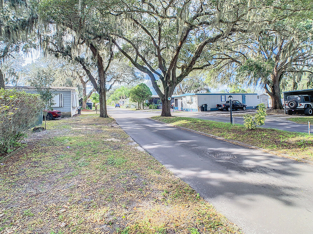 Floridian Sandalwood