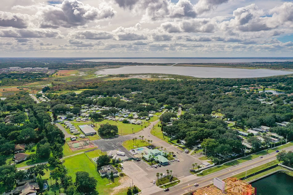 Floridian Sandalwood