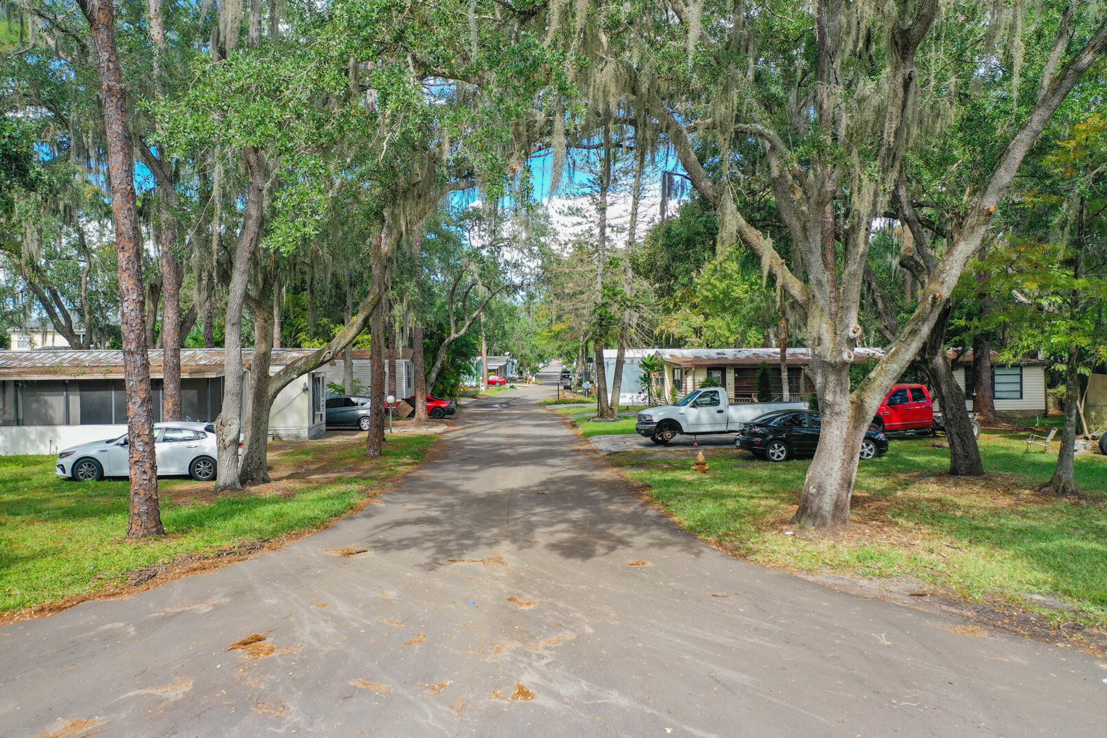 Floridian Sandalwood